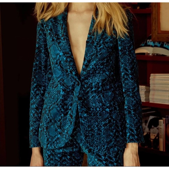 Misa Los Angeles's Castroux Blazer and Pant, size xs, vetvet blue print animal - Picture 1 of 9